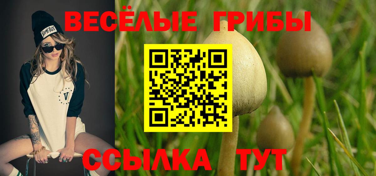 наркотики  Галлюциногенные грибы GOLDEN TEACHER  Вход с VPN  Артёмовский 